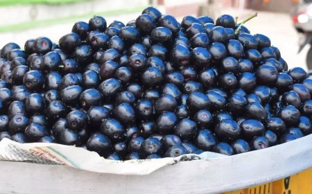 मधुमेह (Diabetes) में मेथीदाना और जामुन के कारगर उपाए