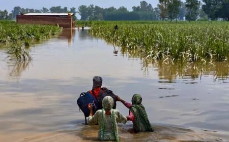 पंजाब: दशकों की सबसे भीषण बाढ़ में 30 लोगों की मौत, हज़ारों गांव प्रभावित