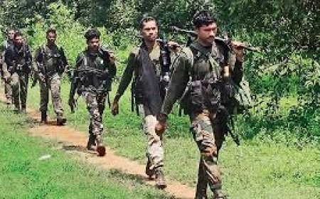 छत्तीसगढ़ में सुरक्षा बलों और माओवादियों के बीच मुठभेड़, 10 को मार गिराया