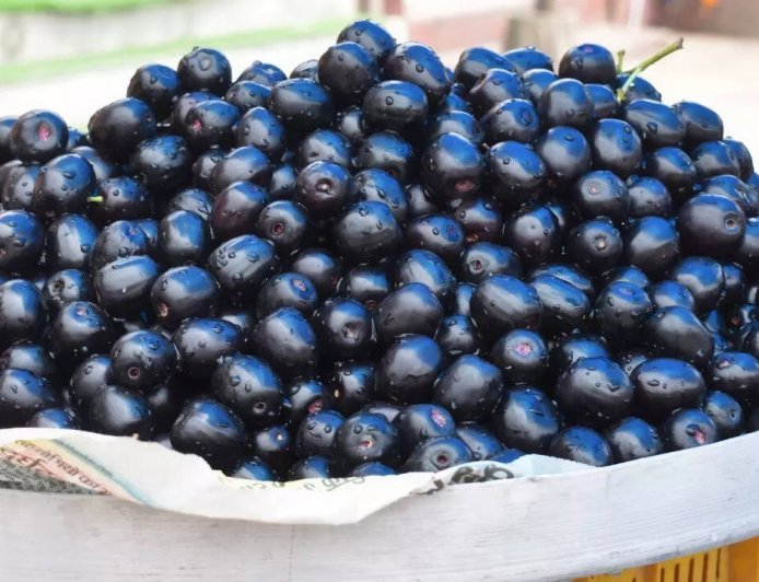 मधुमेह (Diabetes) में मेथीदाना और जामुन के कारगर उपाए