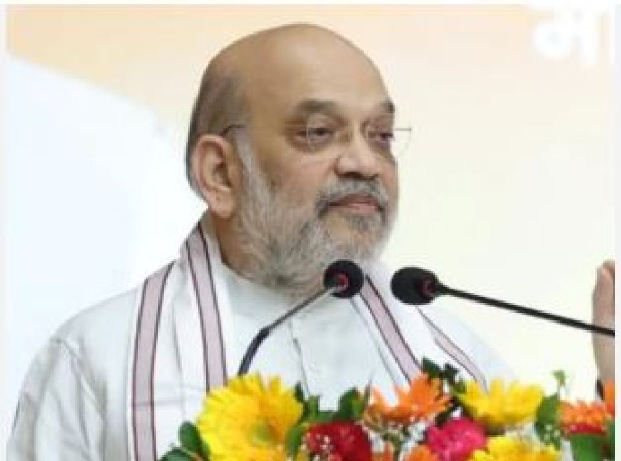 जब तक सारे नक्सली आत्मसमर्पण , पकड़े या मारे नहीं जाते, मोदी सरकार चैन से नहीं बैठेगी: अमित शाह